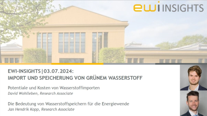 EWI-Insights: Import and storage of green hydrogen